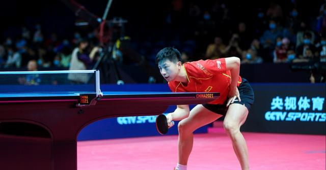 孙颖莎|70万元！樊振东挣钱最多，力压孙颖莎、陈梦等，成为奖金王！