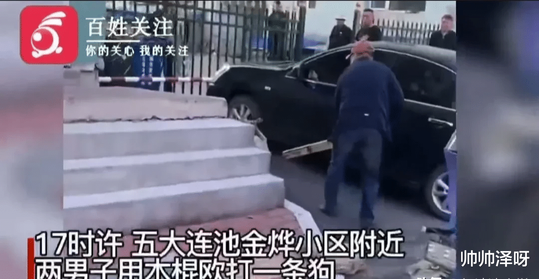 两个男子持棍殴打一只流浪狗，把狗打得头破血流，一女子大哭着制止了他们