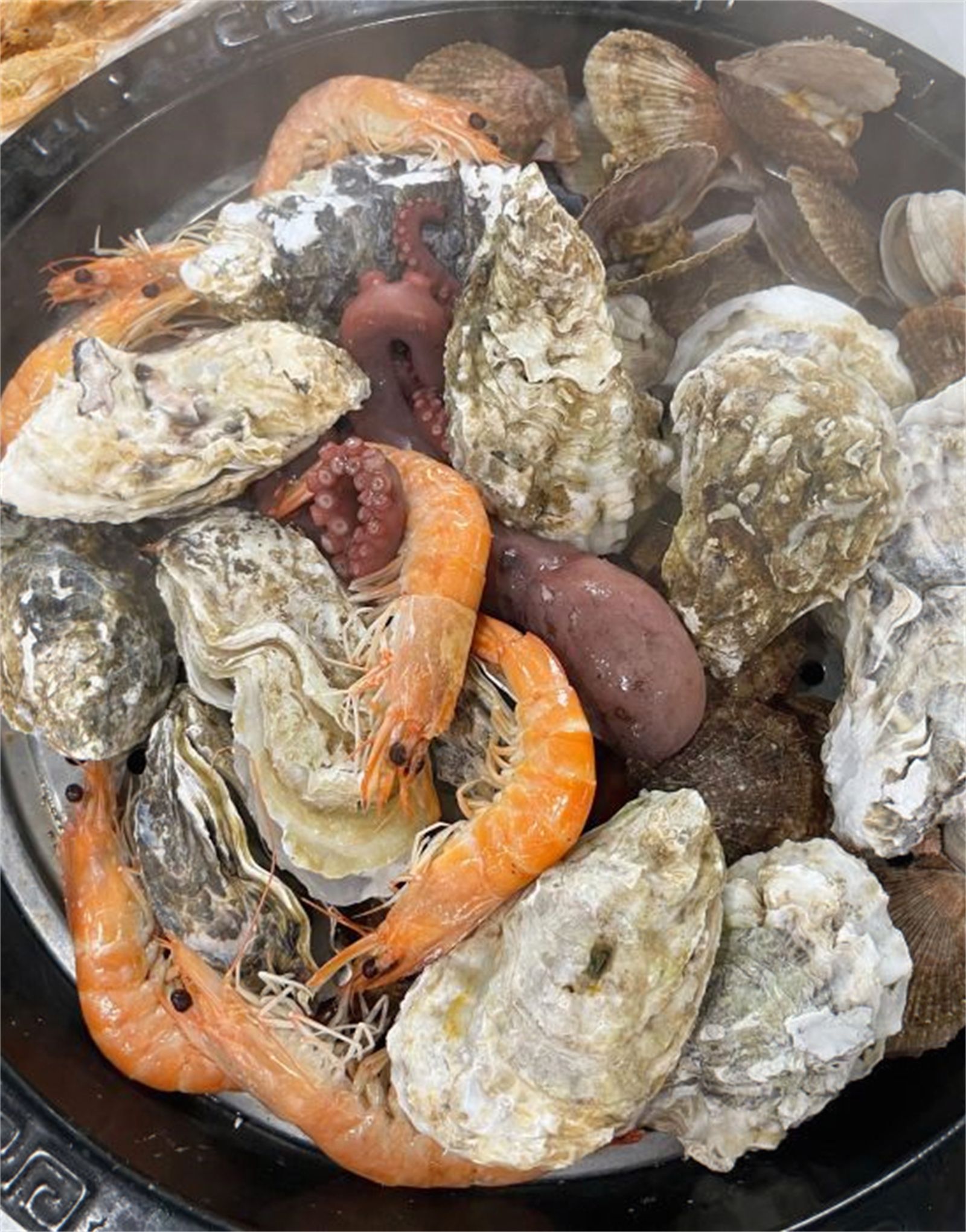 青浦|日照游记,日照旅行之不懂就问系列