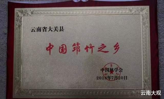 |受青睐！“中国筇竹之乡”大关“组合拳”亮相2022中国国际旅交会