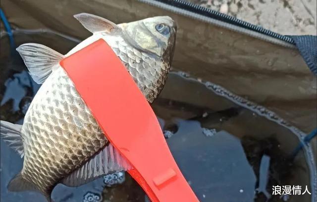 饵料|买完就后悔的5种钓具，专坑新手没商量，上了当别怪我没提醒你