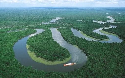 亚马逊雨林万千生物中，六种动物是动物王国顶端，一种比一种致命