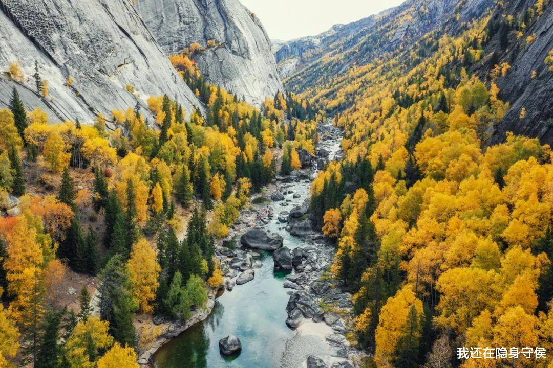新疆维吾尔自治区|它称第二,无人敢称第一! 沉寂1个月,此生必去的秋色之王正在苏醒