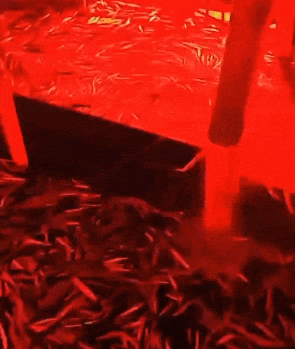 大西洋上空出现血红色云层!飞行员:从未见过,究竟是什么原因?