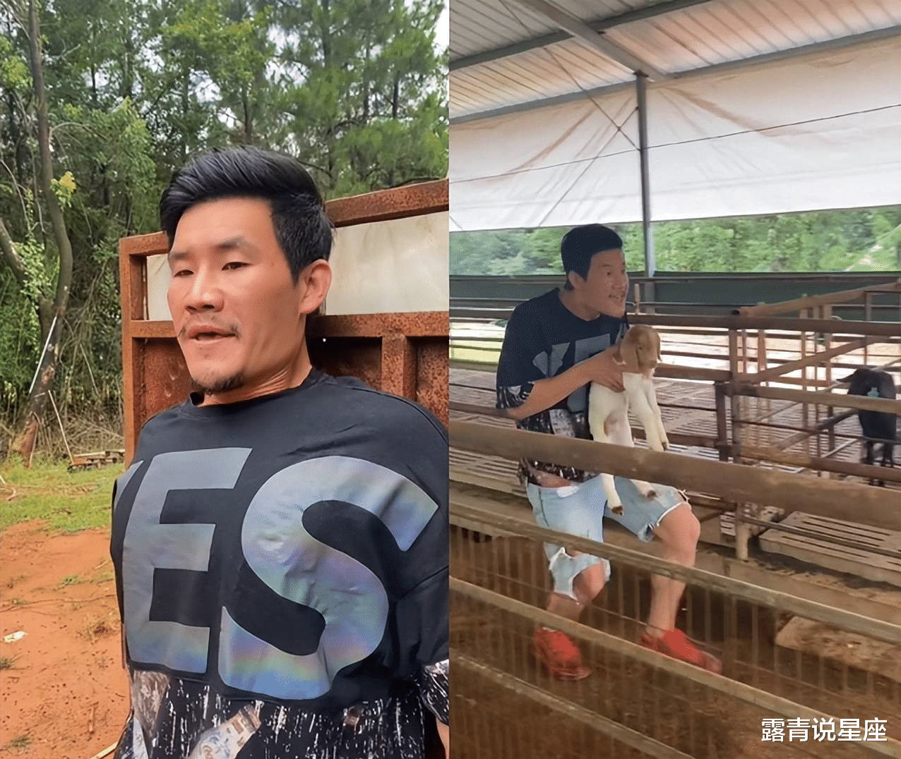 谢孟伟|嘎子哥谢孟伟“偷羊”拍段子，自嘲是爷们儿气质