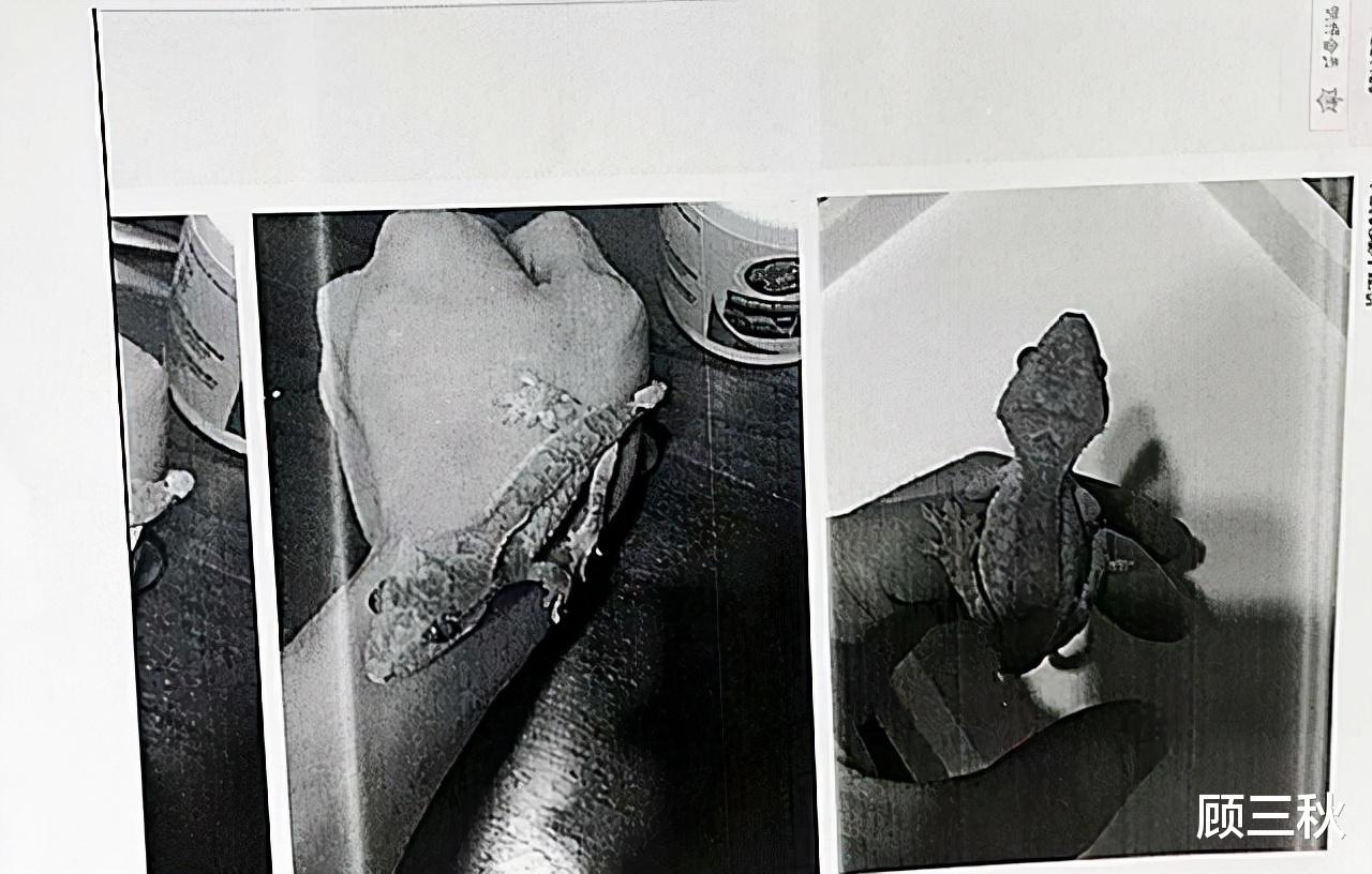 杨俪萍|轰动一时的上海杀妻案：与异性花天酒地，透支了亡妻10万信用卡