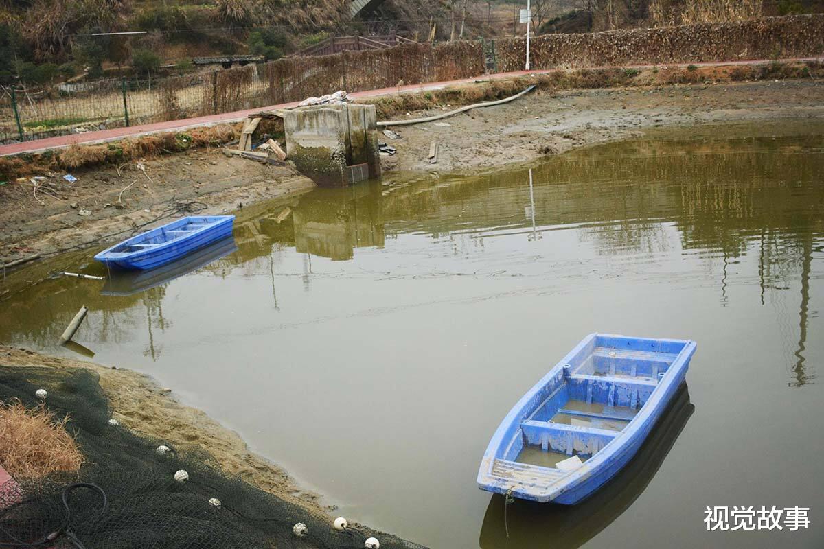 池塘|农村人挖池塘养鱼，一年集中捕捞一次，看为啥天天有收入