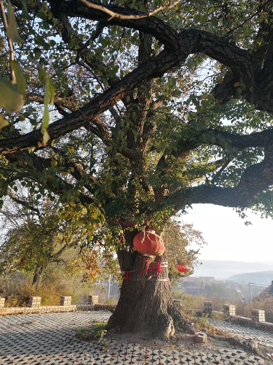 骑行|骑行太行天路（第二天）——常行村智斗日寇，张家凹远眺林州