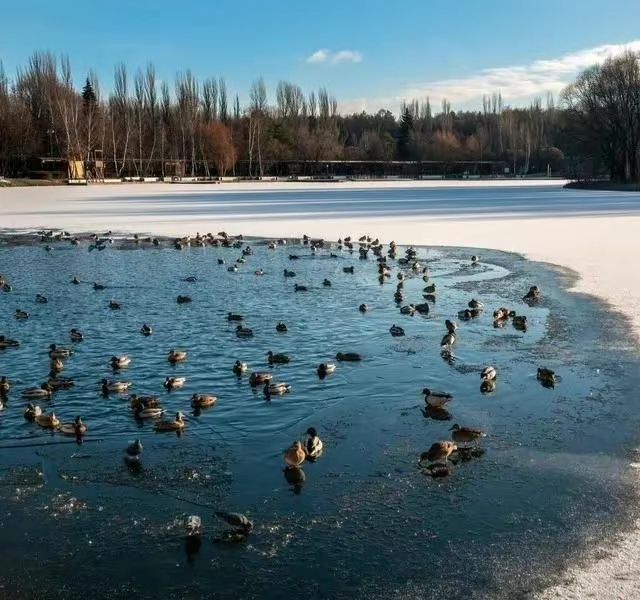 |为何现在很多人都不玩黑坑了，钓友表示“水太深”，你们怎么看？