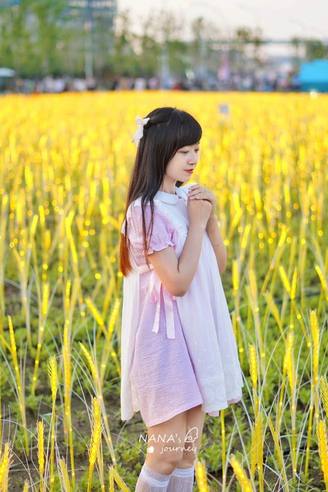 古镇|你见过星光花海吗?吉林的这个地方,日夜各有玩法门票免费