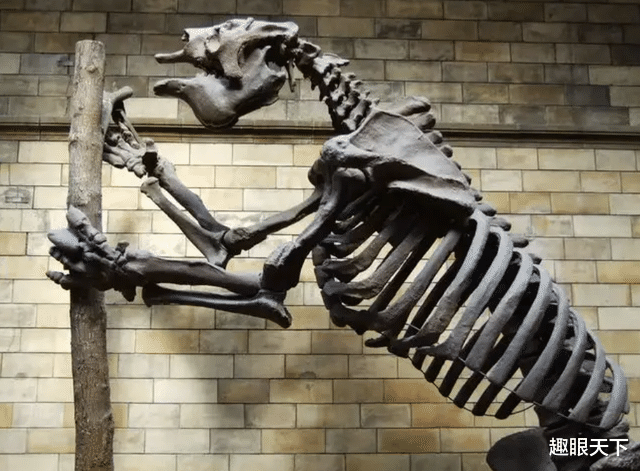 巴西13000年前的史前隧道到底是谁建的?科学家的最新发现,令人不淡定了