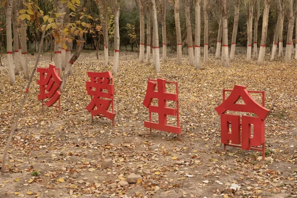 银川|银川往事（二） |  西国