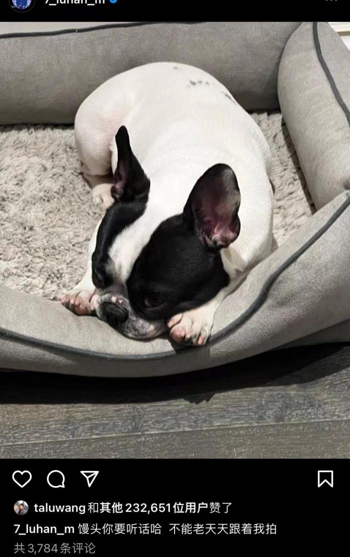 鹿晗|关晓彤陪男友聚餐，鹿晗喝醉酒再被拍，两人坐车回家疑似同居