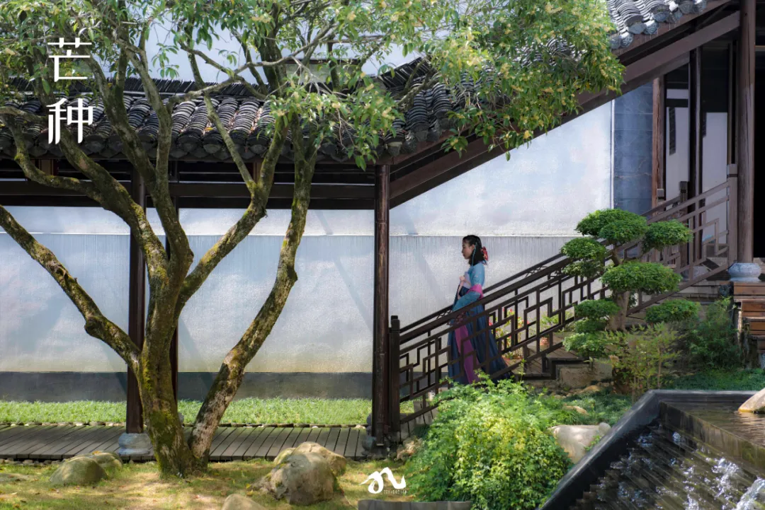 收藏!九华山版二十四节气壁纸,够浪漫~