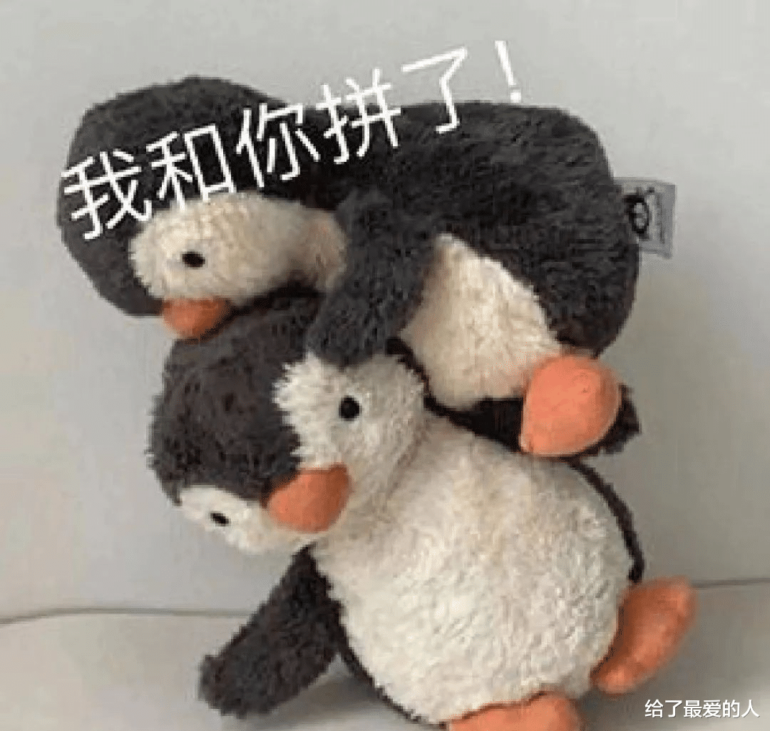 刘畊宏|刘畊宏和李佳琦到底谁更可怕？哈哈一个要钱一个要命啊