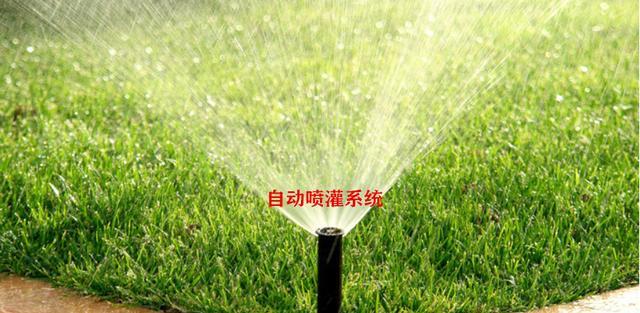 第一次改造院子太失败了,3个隐蔽工程没留心,重新设计再来一次