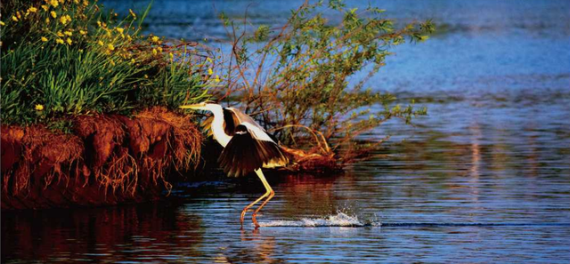 |城市画册｜这里是沈北·珍宝篇