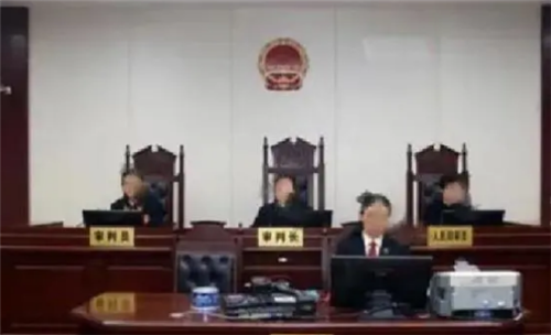 河南一小偷深夜偷鸡,被主人扔炮吓死,家属索赔50万,法院判了