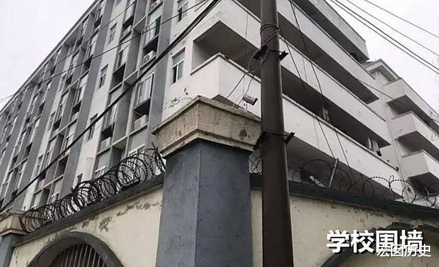 胡鑫宇的父母太难了,自己找警犬,当地难道没有吗?