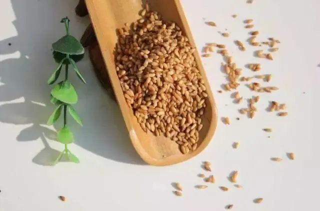 按摩|古代道士爱吃的七种养生食物