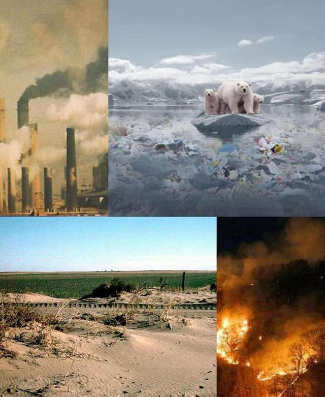 科学家预警:地球或正进入第六次生物大灭绝,这几大迹象可见端倪