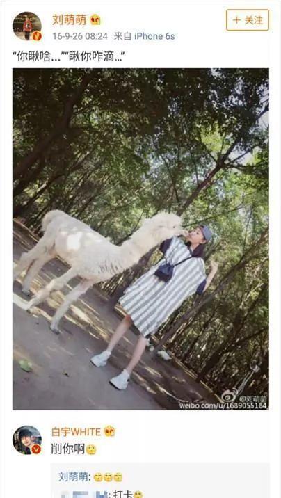 白宇|地下库拥吻被拍!他俩藏得也太好了