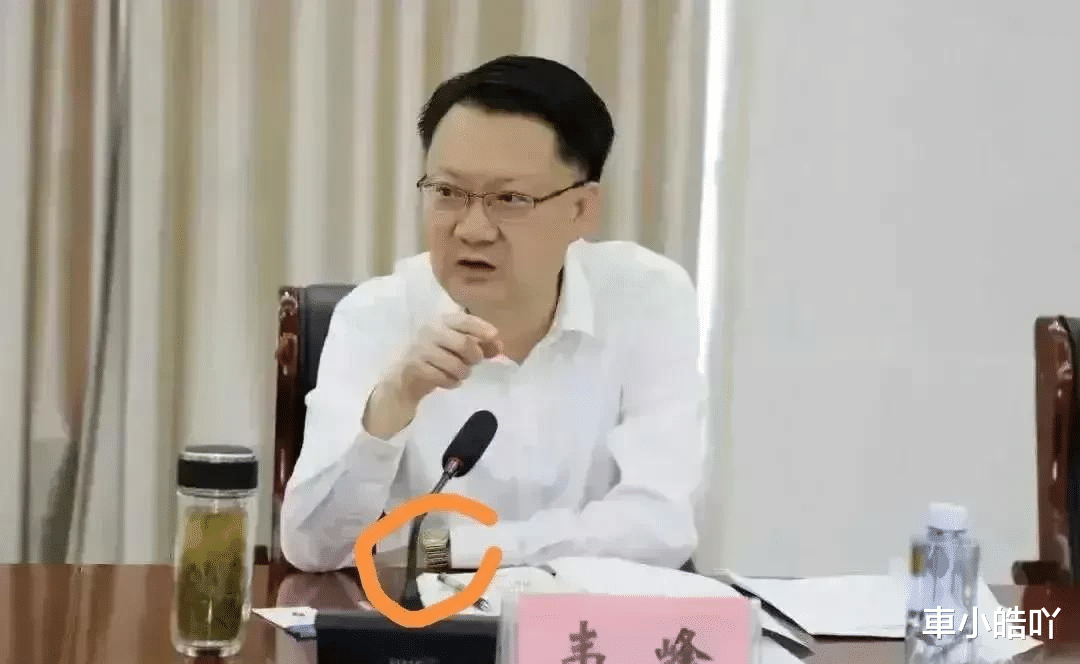 韦峰|韦峰被免职!网友还盯着他的天价手表不放,质问其收入是否合法