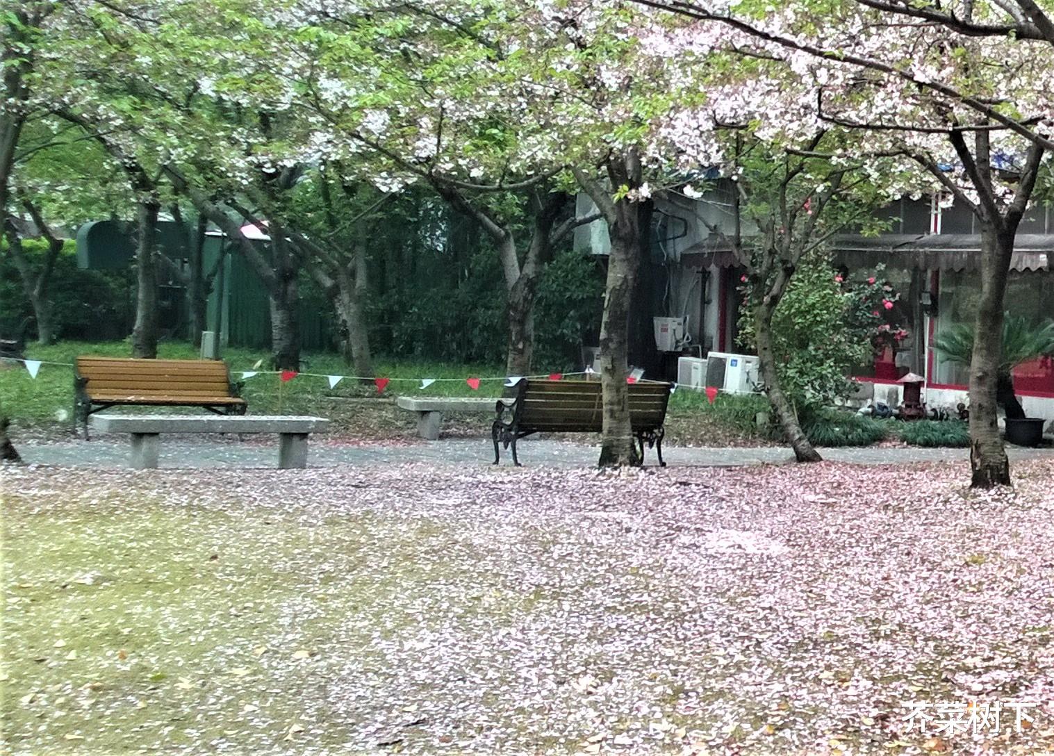 |拿不出办法,就别瞎掰掰