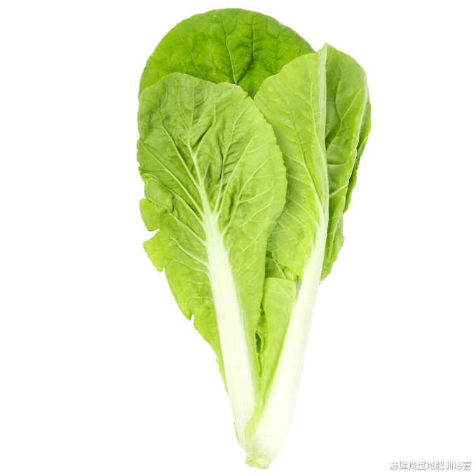 肠胃|10种让你越吃越瘦的蔬菜,赶紧收藏!