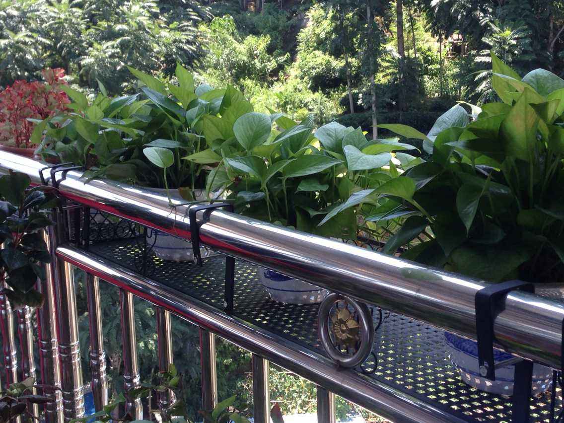 住12楼，我在阳台外搭不锈钢花架，楼下业主：天天看着心慌必须拆！