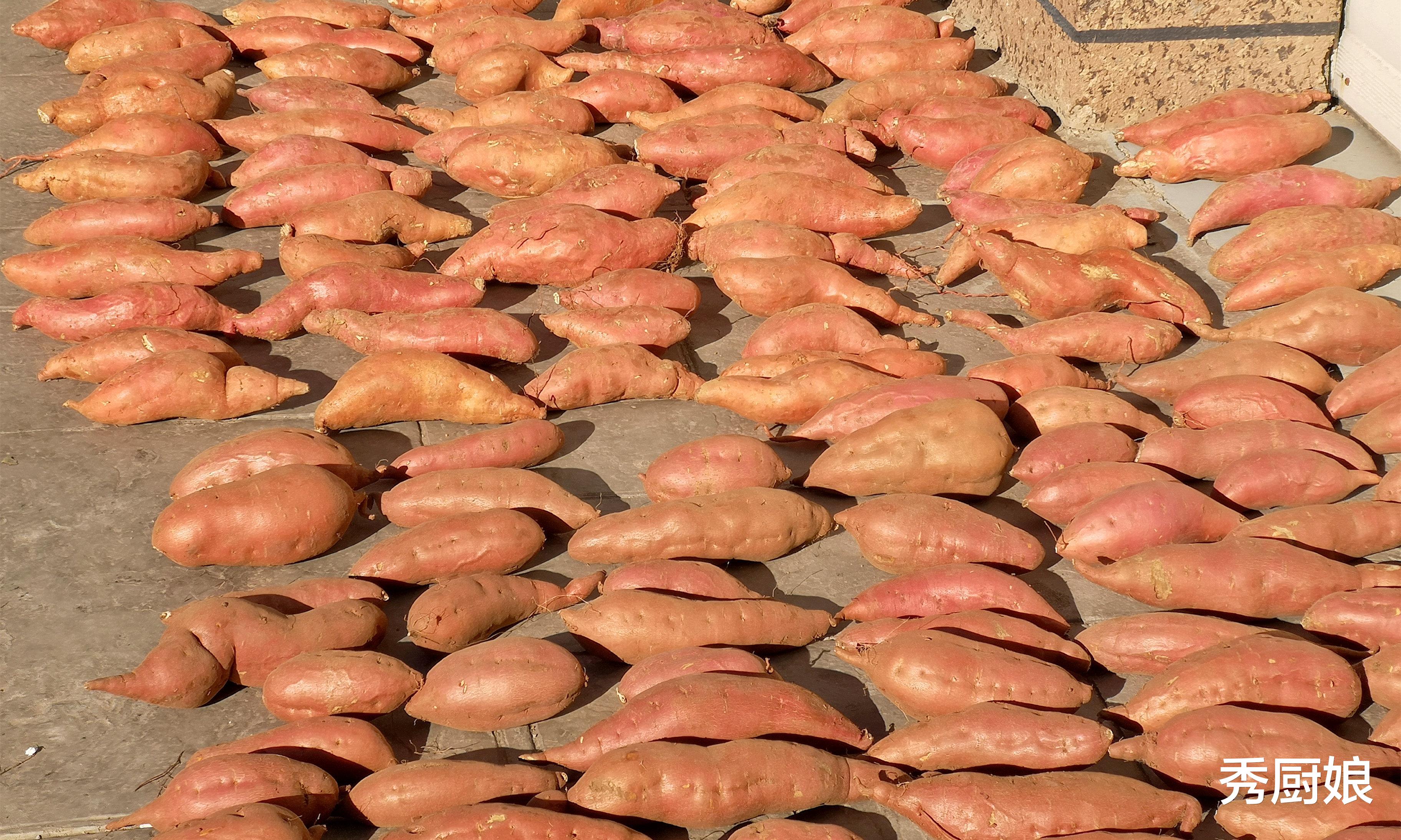 疾病|疫情反复，这4种廉价蔬菜多囤些，营养高耐保存，冬天不愁没菜吃！