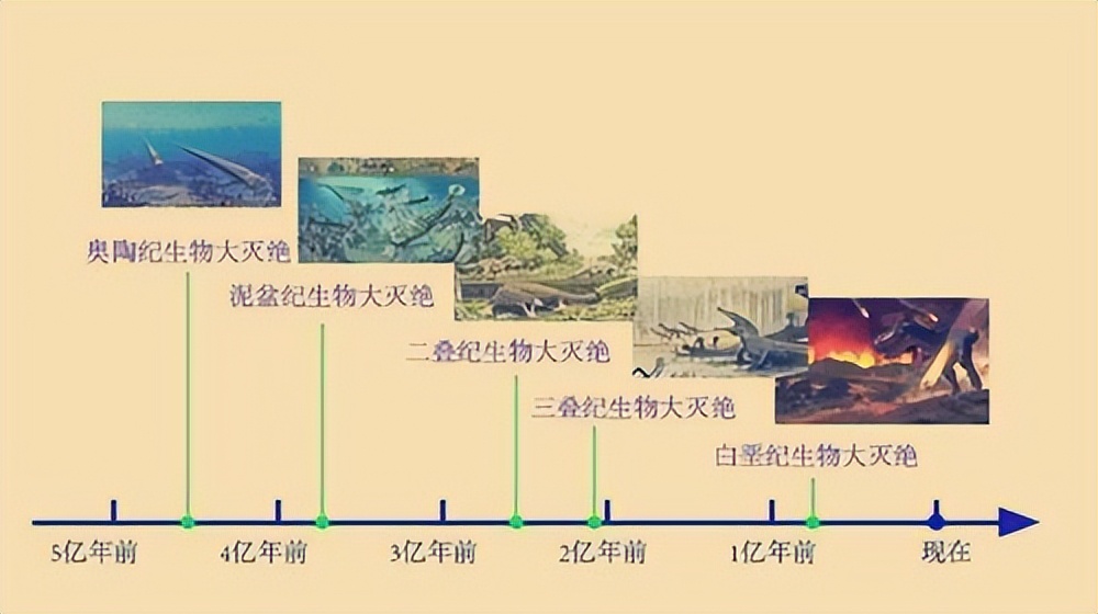 140年后再度重现!灭绝生物忽然出现,究竟是为什么?