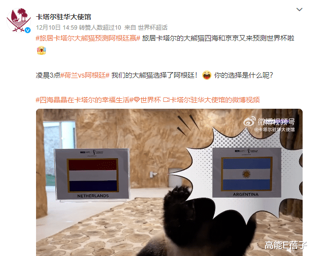 周星驰|猜中阿根廷队战胜法国队，周星驰的爱犬也要加入预测帝队伍吗？