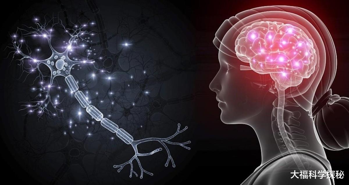 哈佛大学发现大脑微管结构,可能破解灵魂意识,连彭罗斯都赞同