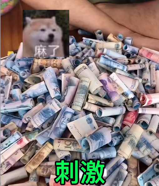 全网最“怂”的男人！却靠藏私房钱涨粉百万，李坑坑到底有多壕？