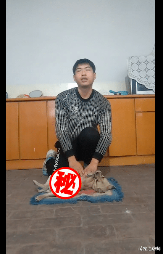 男生要拍摄心肺复苏视频，家里没人便把狗抓来配合，狗：亲我干嘛