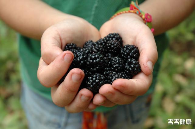 胃黏膜|胃黏膜的“保护伞”找到,没事吃一点,修复胃黏膜,养护更暖胃