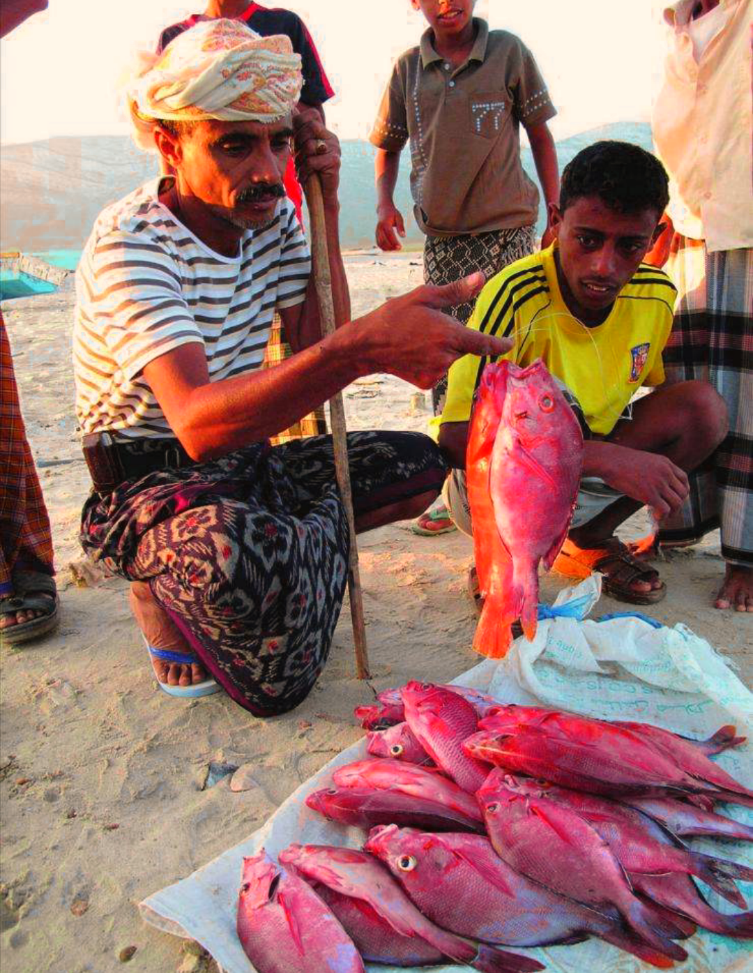 寺庙|“龙出没的海岛”不像在地球上,世界遗产但游客非常稀少