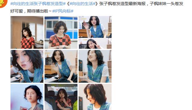 曼哈顿|张子枫大波浪造型上热搜,却被吐槽像步惊云,网友:路人缘早没了