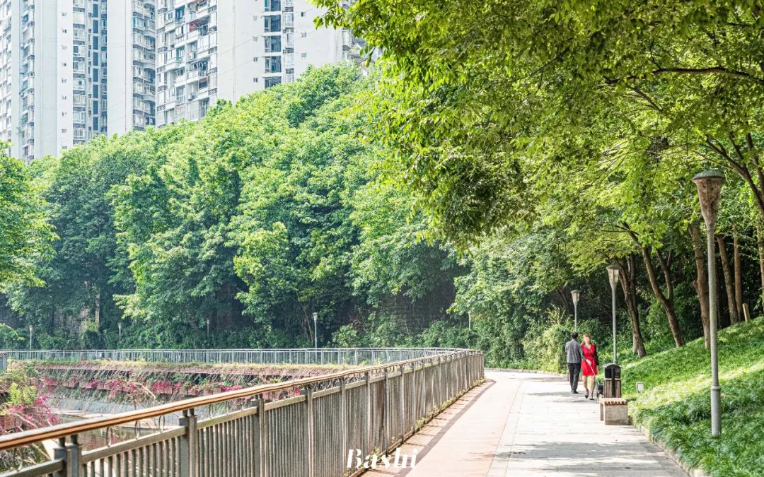 重庆|重庆新晋亲水步道，走起！