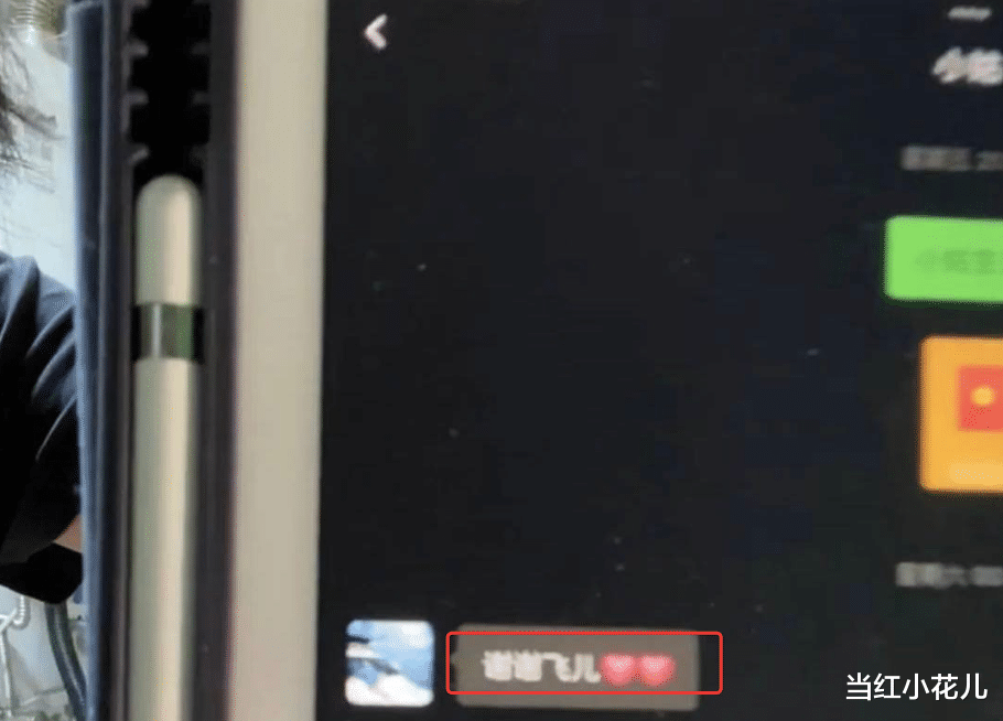 赵樱子|赵樱子为了红,是真的很疯