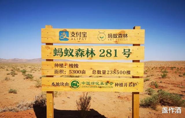 马云|为什么马云从不花天酒地？他的回答令人倾佩！
