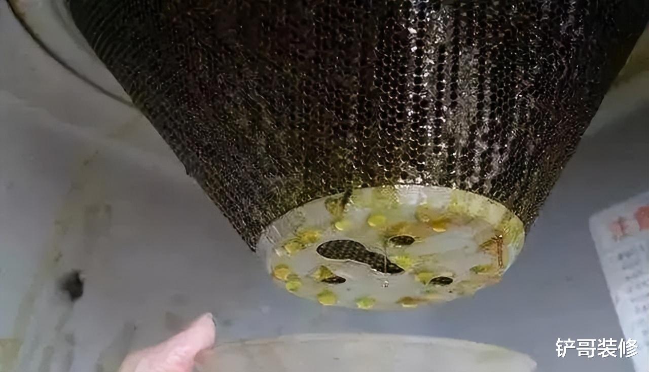 不管油烟机多脏,不用拆卸!老保洁教你妙招,油污哗哗往下掉
