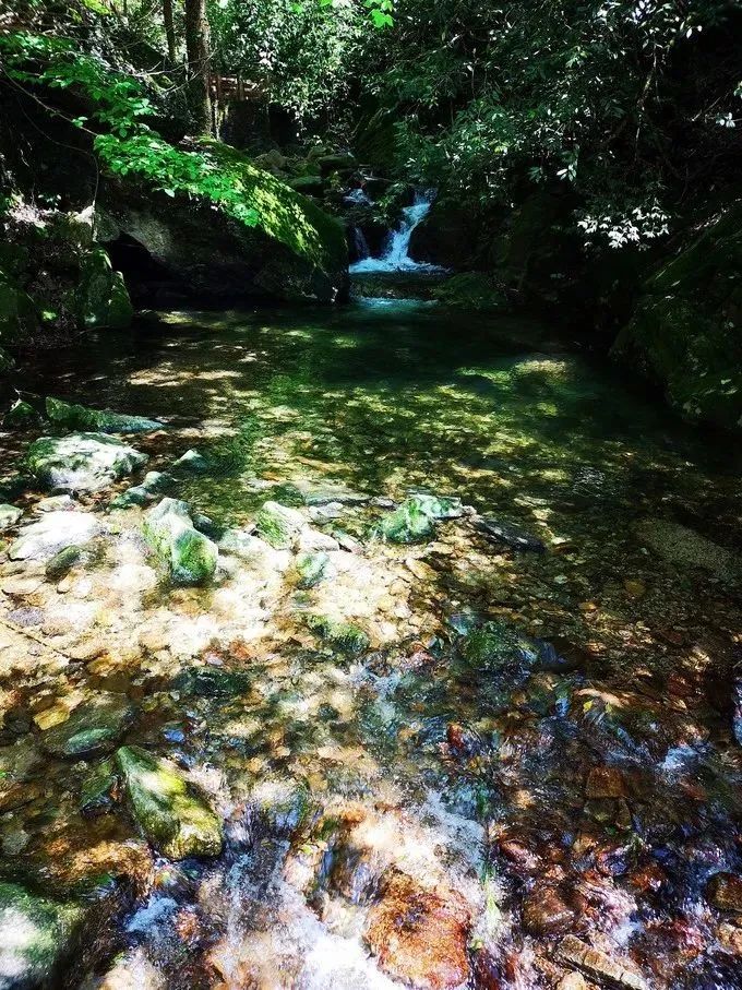 北京市|炎炎夏日,在明月山,还能大胆走在户外玩!