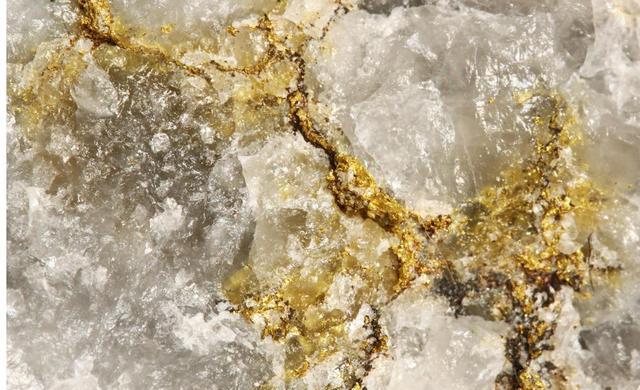 爱吃黄金的生物被发现，科学家们有一个大胆的想法
