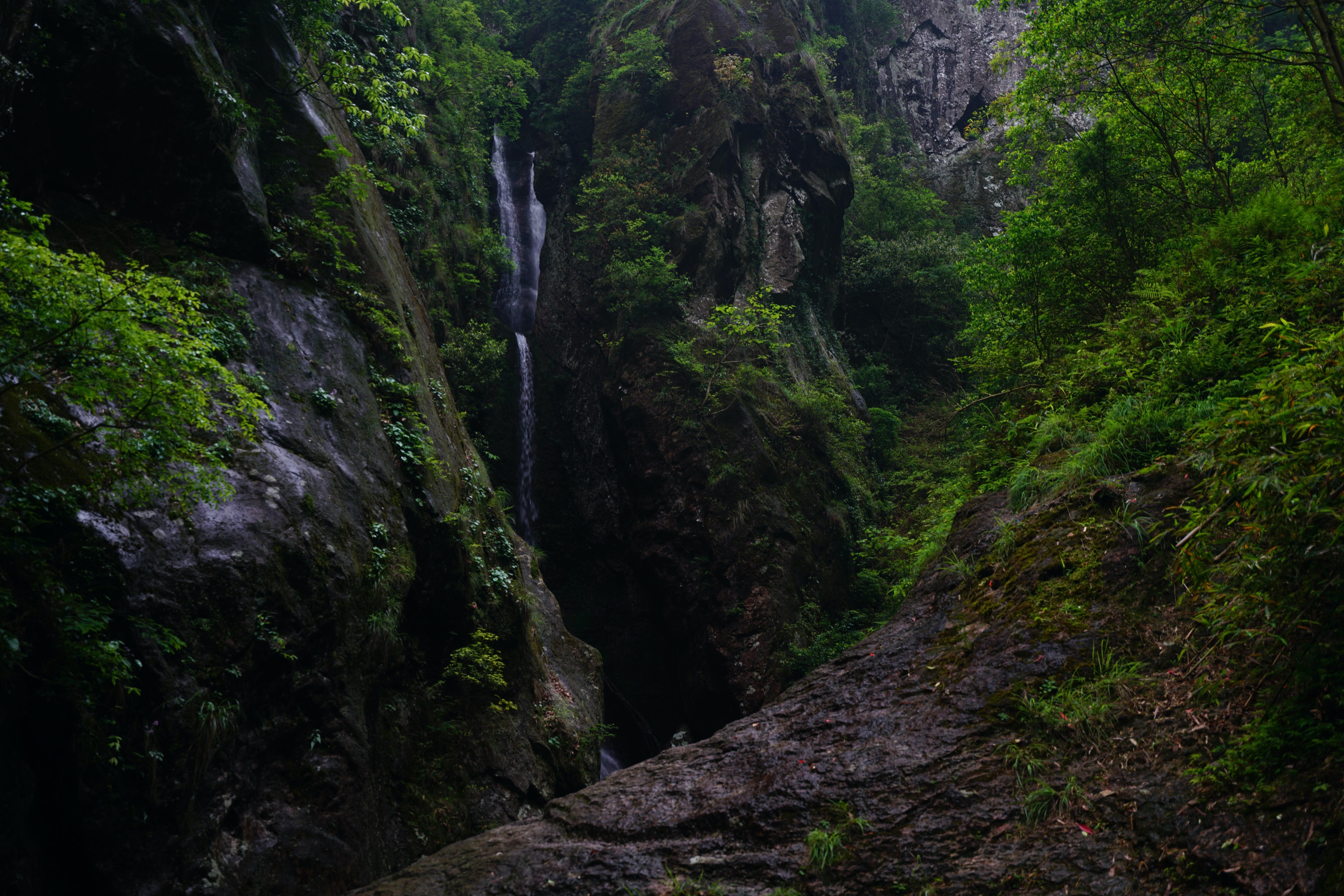 雁荡山|重磅!雁荡山面向全国人民免门票!时间:2022年6月10日—7月31日