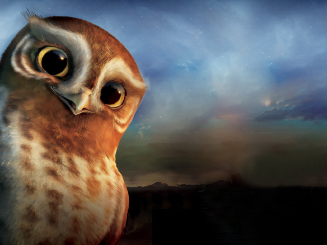 猫头鹰守护神|《猫头鹰守护神》影评:朝着梦想飞行