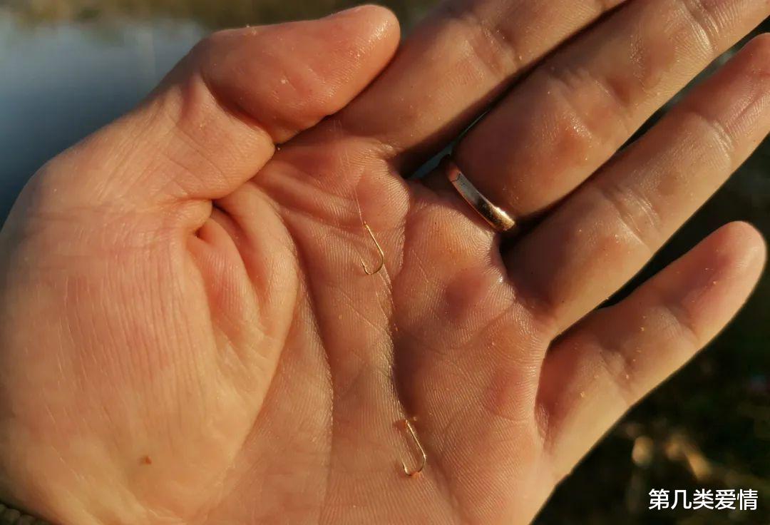 |天气冷晚上鱼不开口?那是你钓法不对,深秋夜钓要注意这几件事