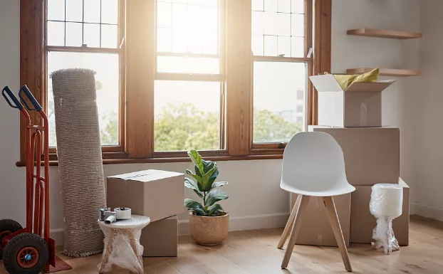 家里这些让你充满乐观精神