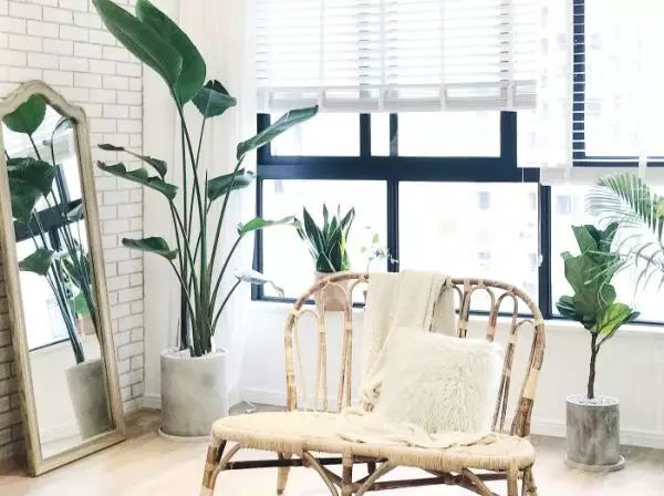 我没见过比这更完美的原木风了!惊呆众人!